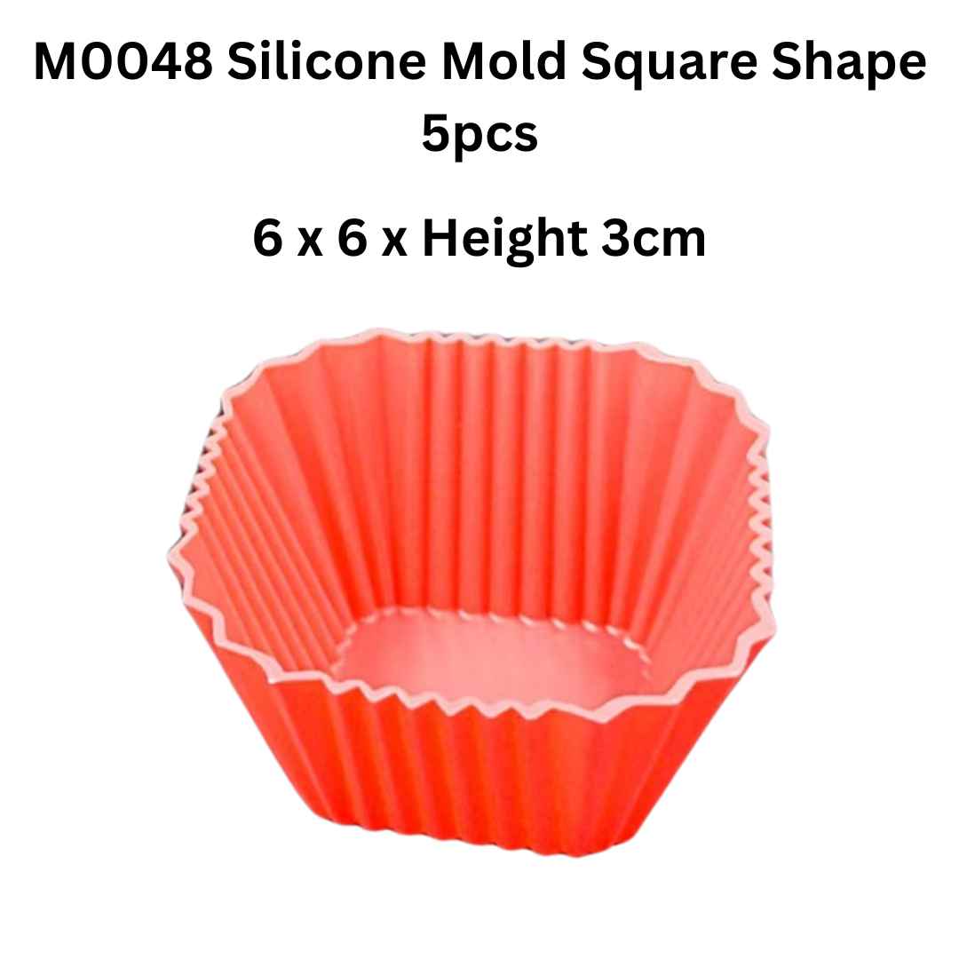 M0048 Silicone Mold Square Shape 5pcs