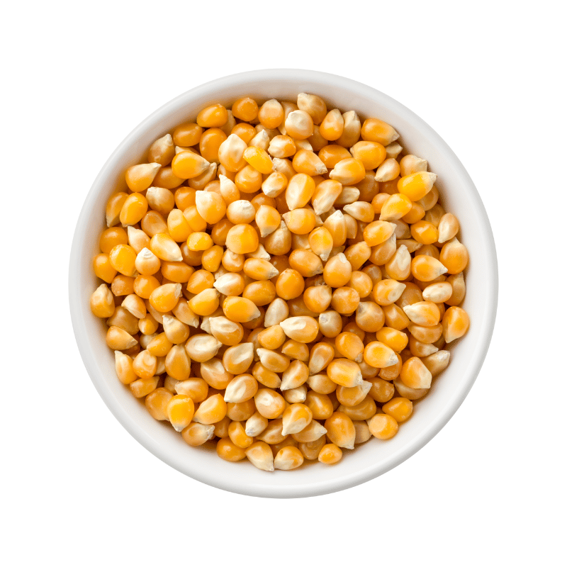 Popcorn Kernel 1kg