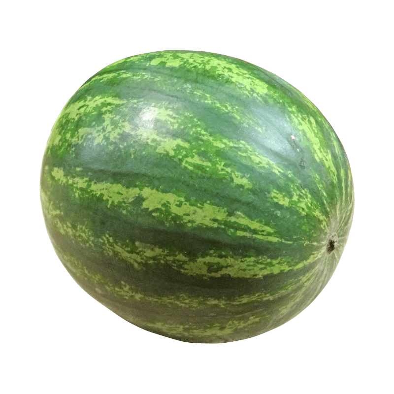 Watermelon 1 whole