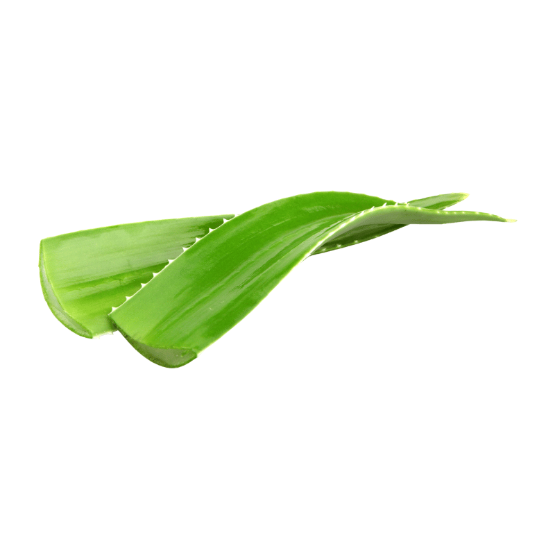 Aloe Vera 1kg