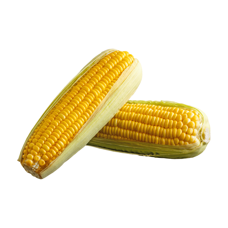 Whole Corn Maize 2pcs