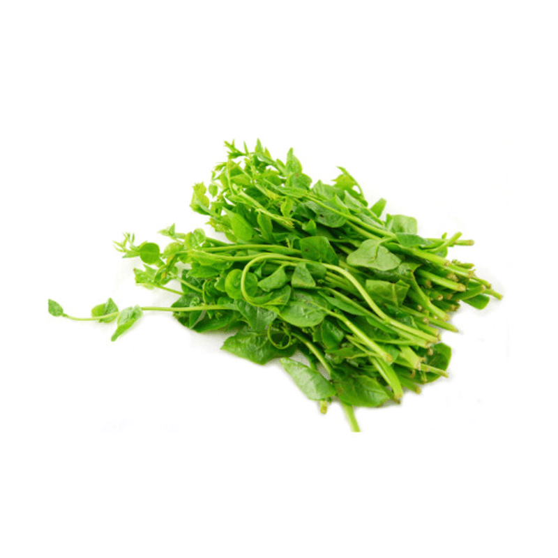 Malabar Spinach / Di Huang Miao 250g