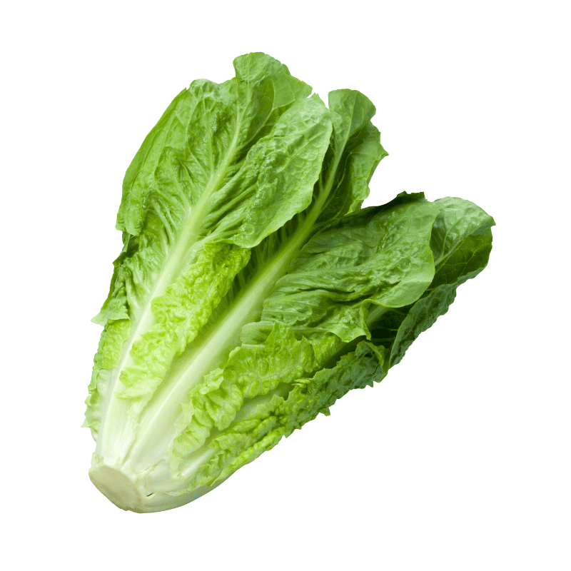 Romaine Lettuce 400g