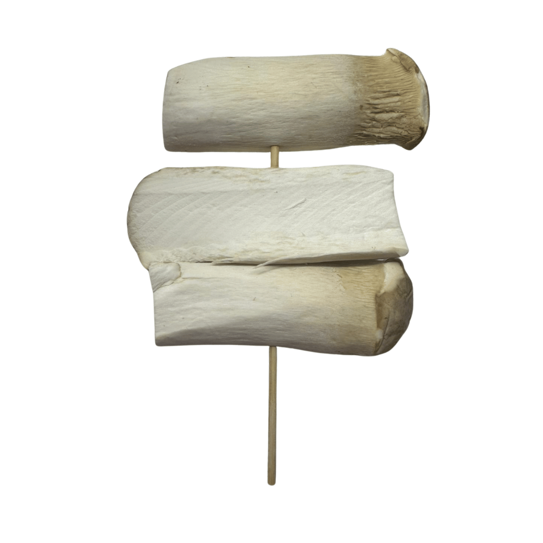 Oyster Mushroom 10 Sticks Raw