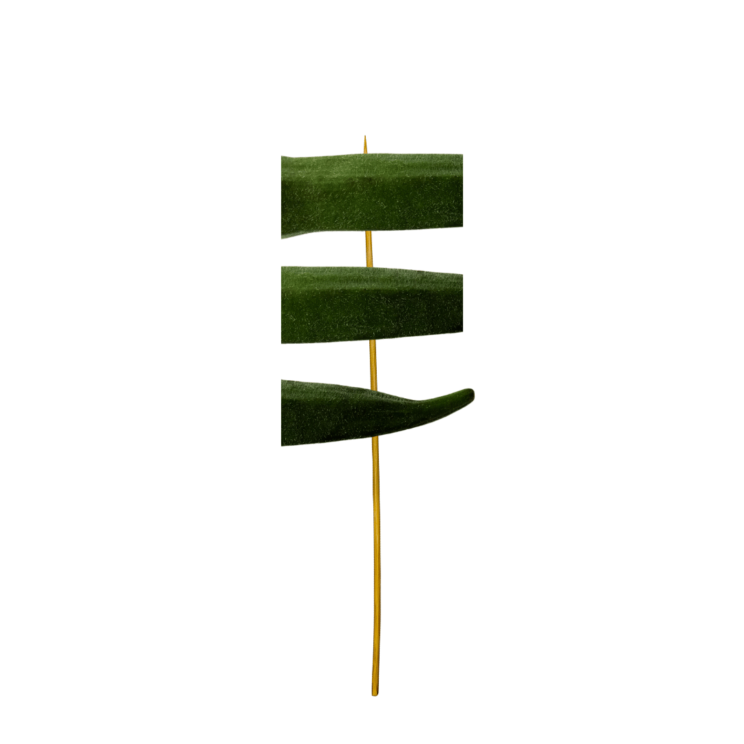 Lady Finger 12 Skewers Raw