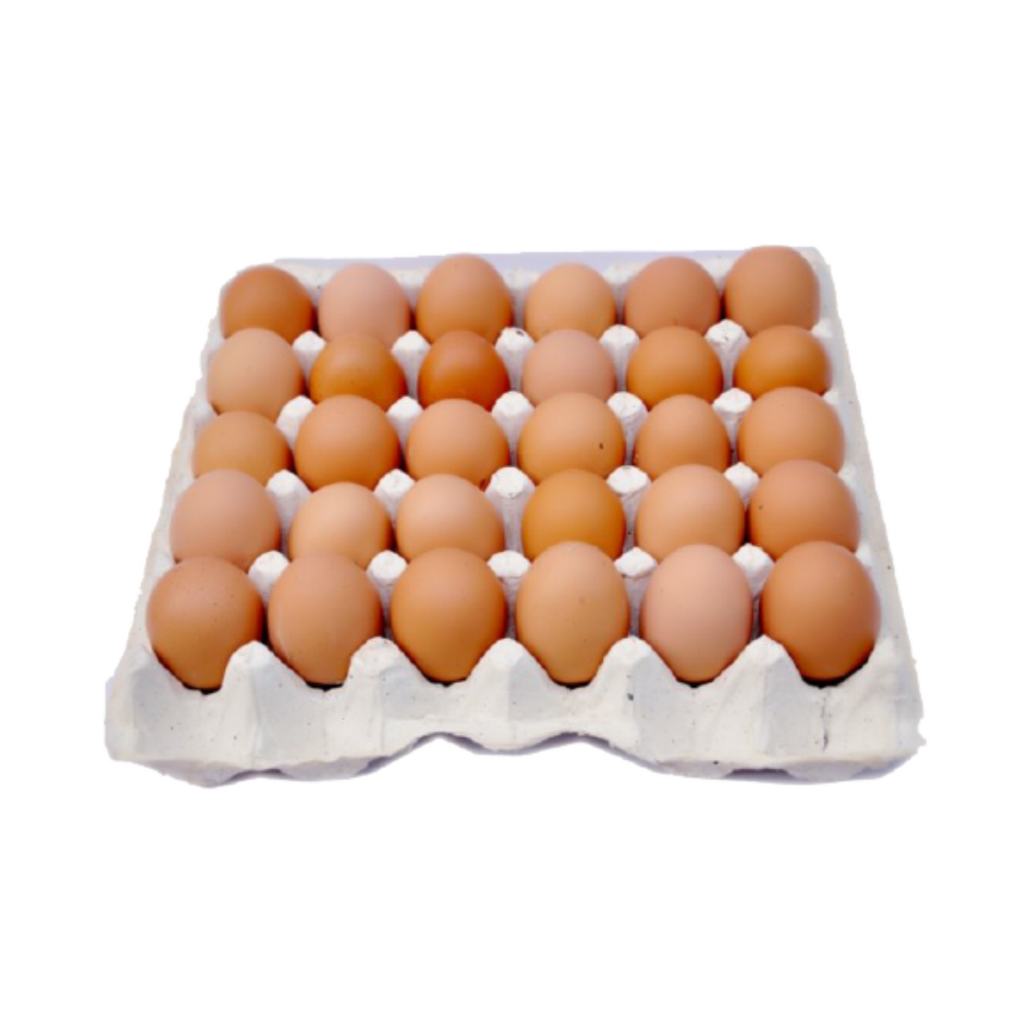Eggs / Telur 30pcs