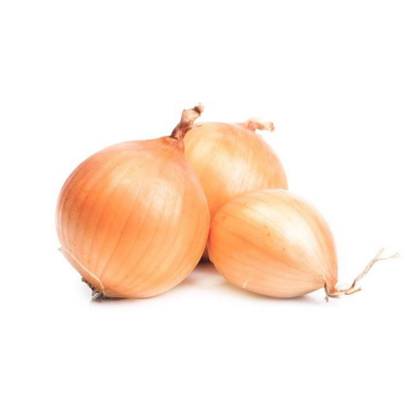 Yellow Onion / Bawang Holland 1kg