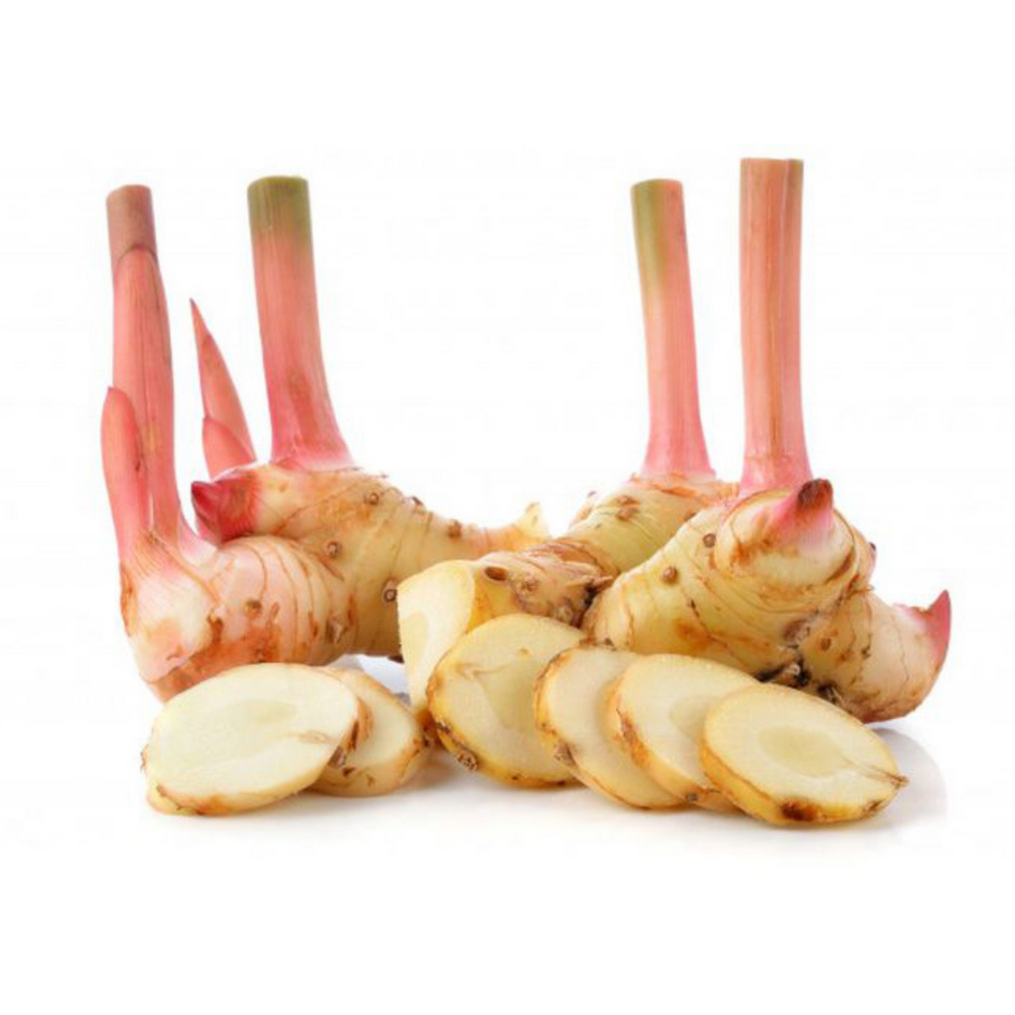 Blue Ginger / Galangal / Lengkuas 200g