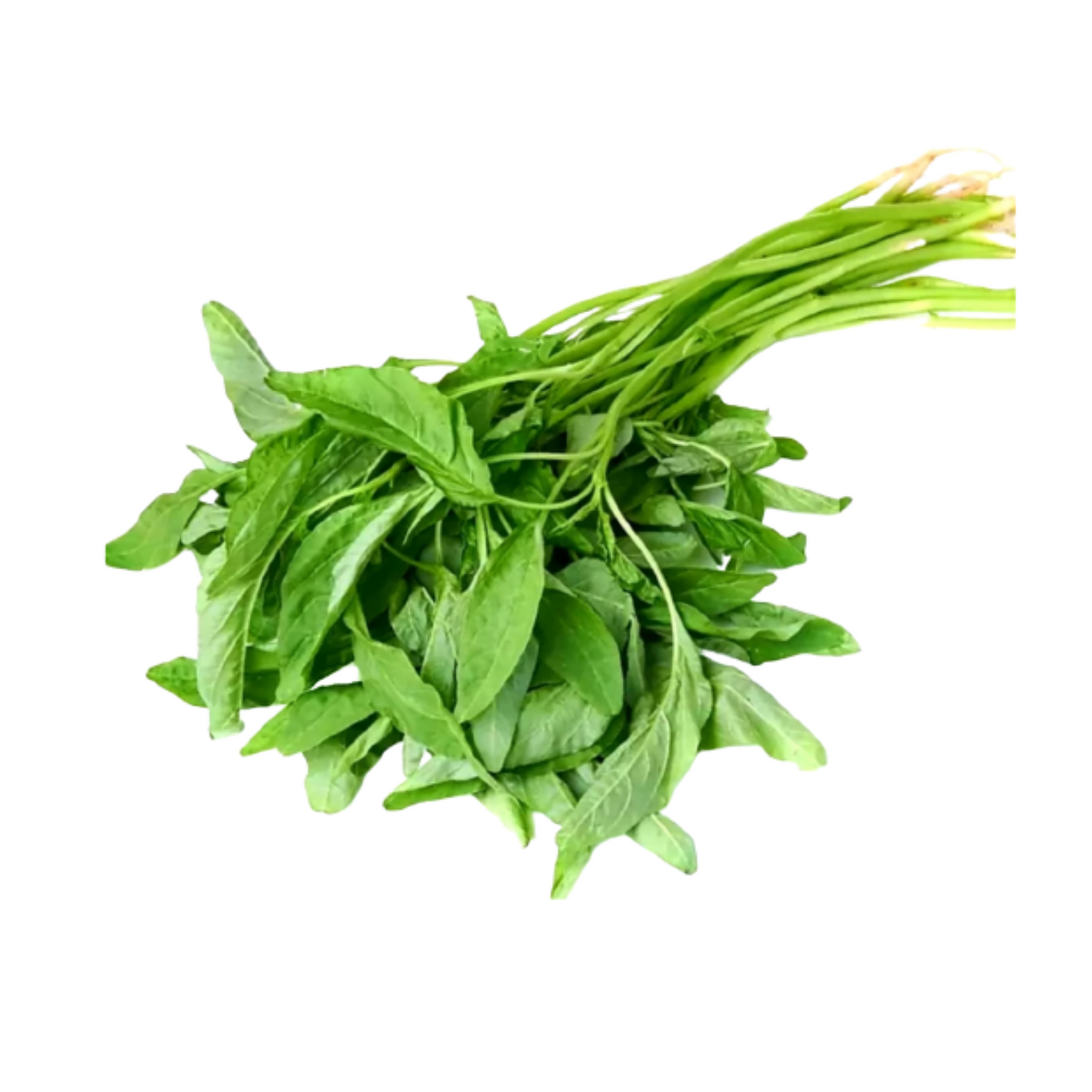 Sharp Spinach / Bayam 250g