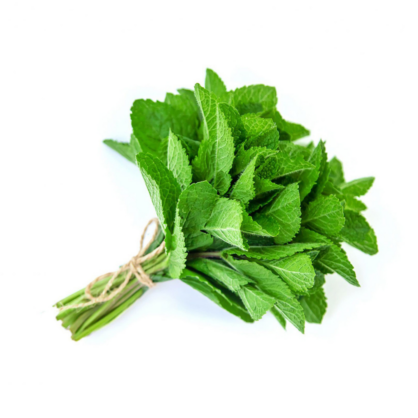 Mint Leaves / Daun Pudina 50g