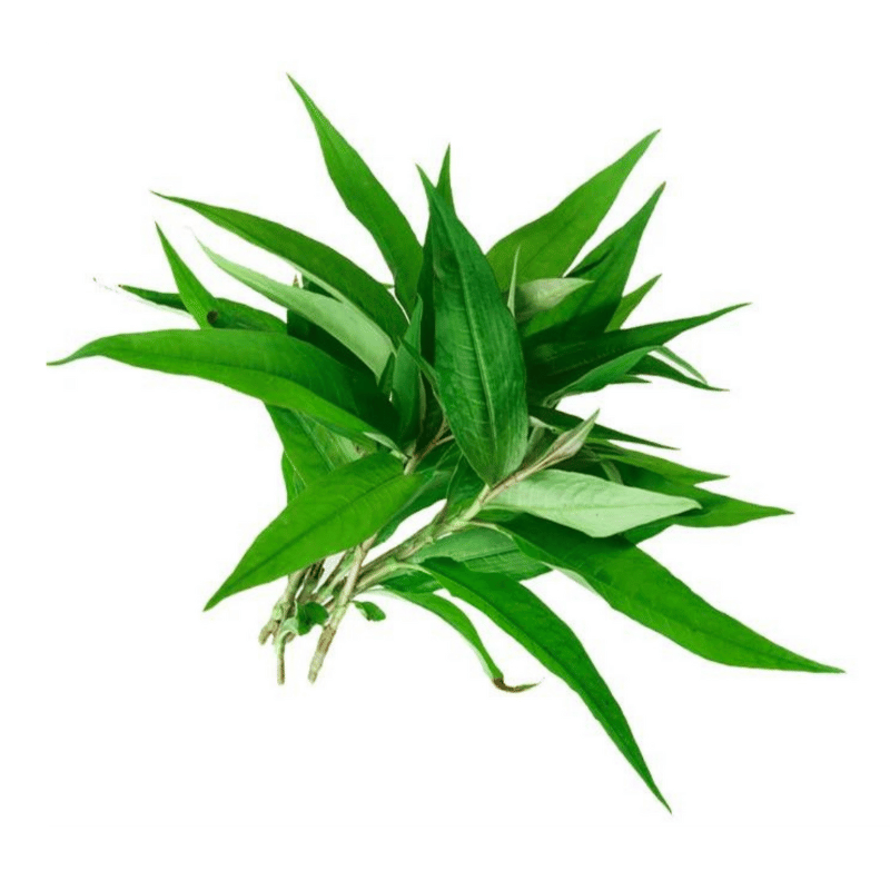 Laksa Leaves / Daun Kesum 50g