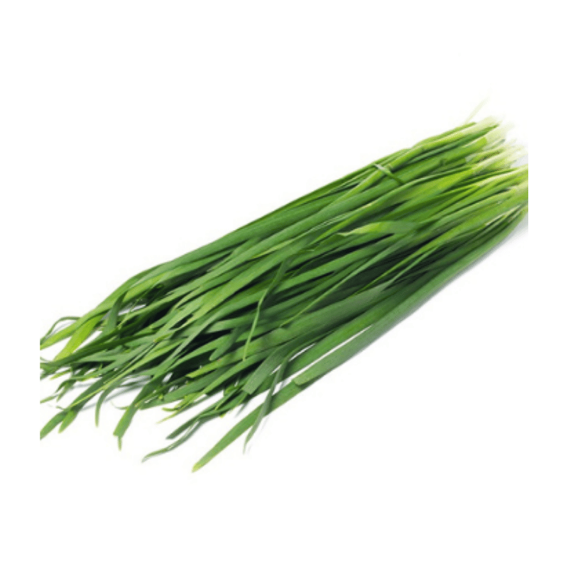 Chives / Kucai 150g