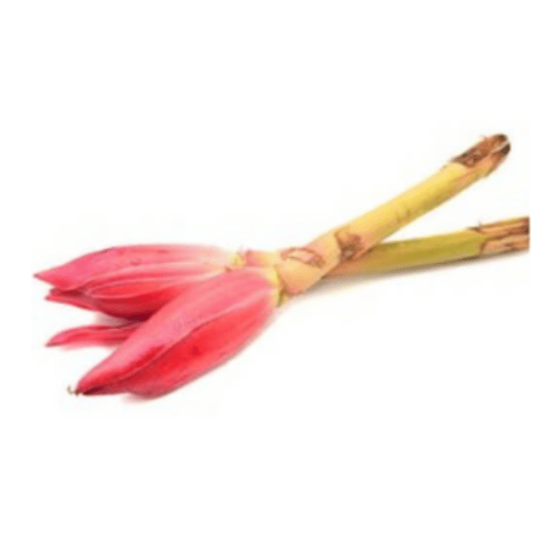 Ginger Flower / Bunga Kantan (2 stalks)