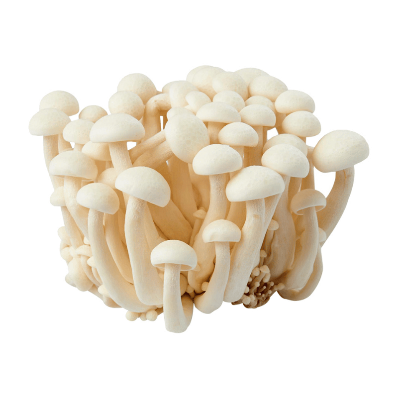 White Shimeiji Mushroom 150g x 2pkt