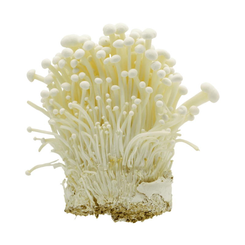 Enoki Mushroom 200g x 3pkt