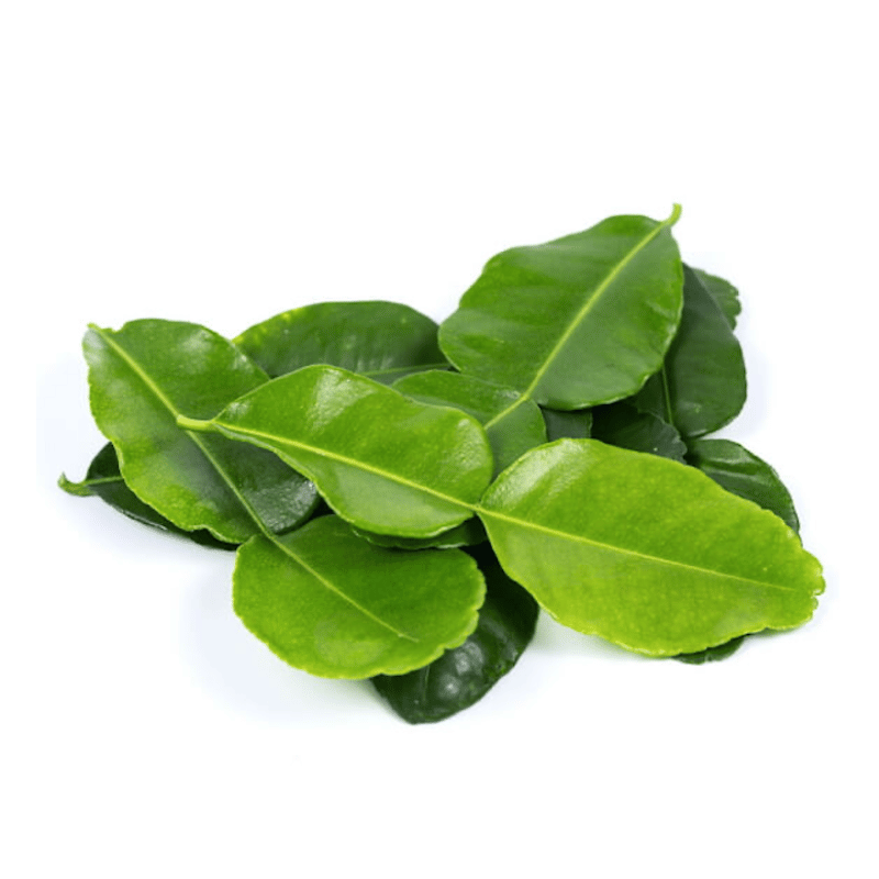Kaffir Lime Leave / Daun Limau Purut 50g