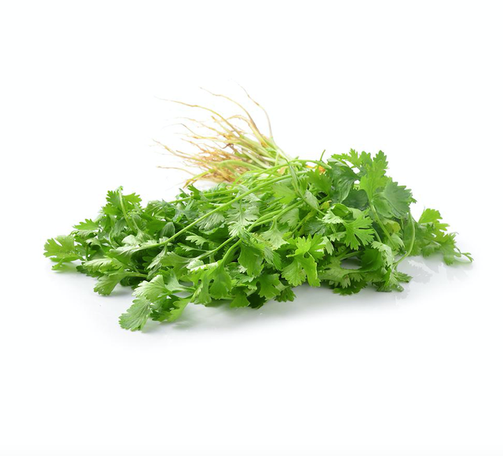 Coriander / Daun Ketumbar 50g
