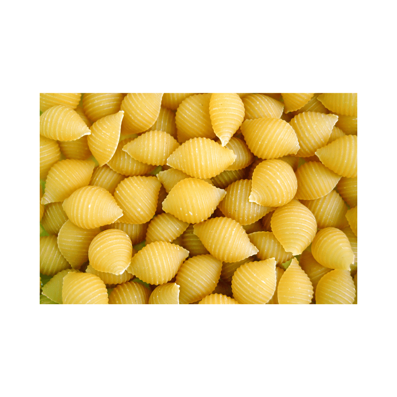 Shell Pasta 1kg – Daily Cart