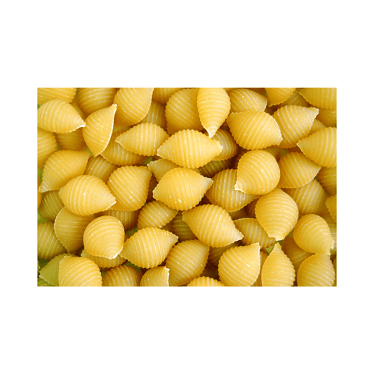 Shell Pasta 1kg