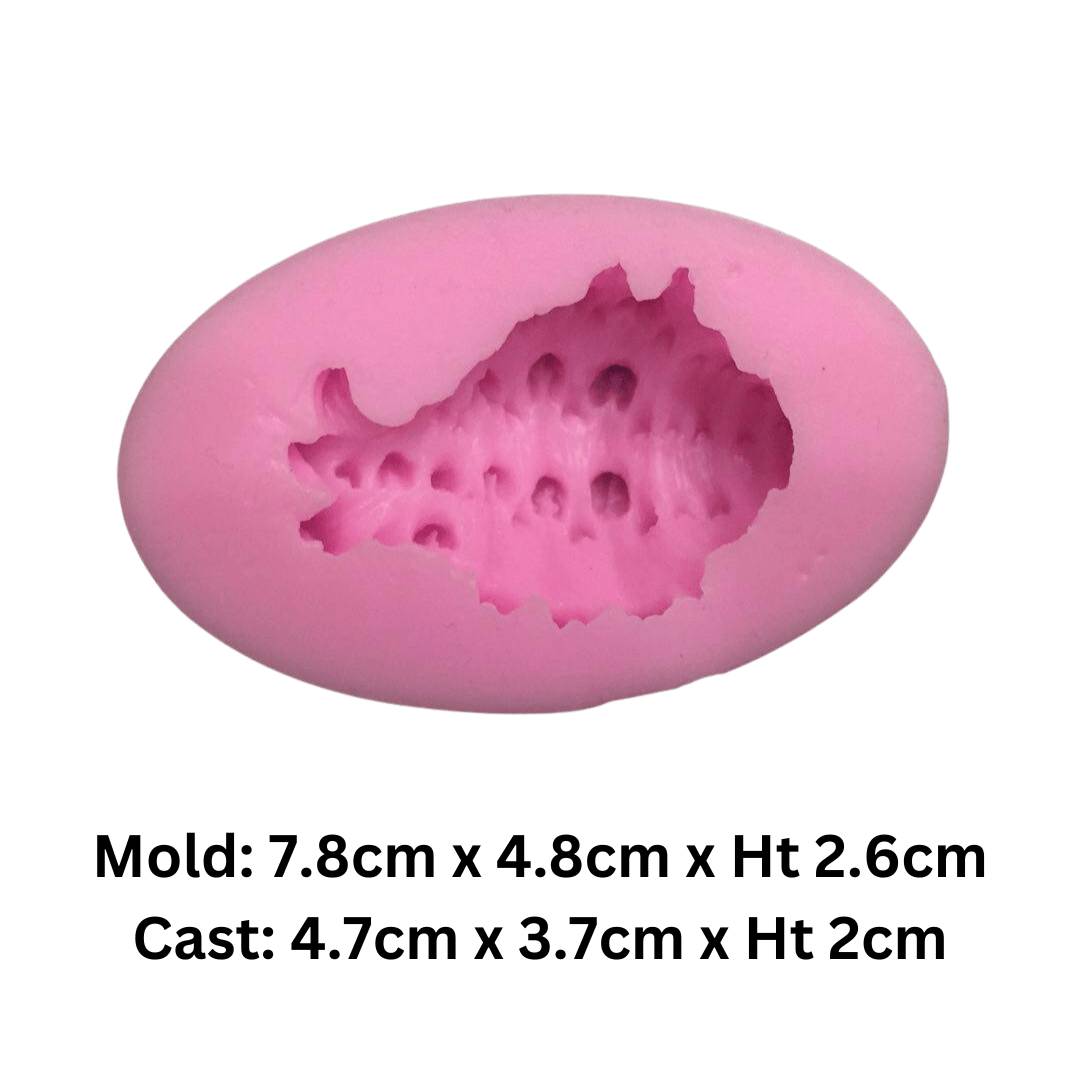 MMSH017 | Shell Rock Fish Silicone Mold