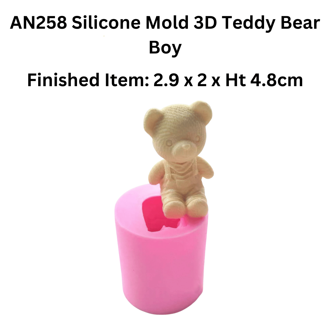 AN258 Silicone Mold 3D Teddy Bear Boy