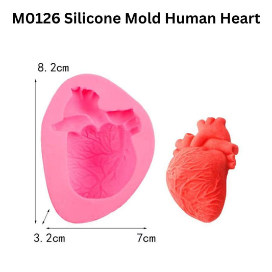 M0126 Silicone Mold Human Heart