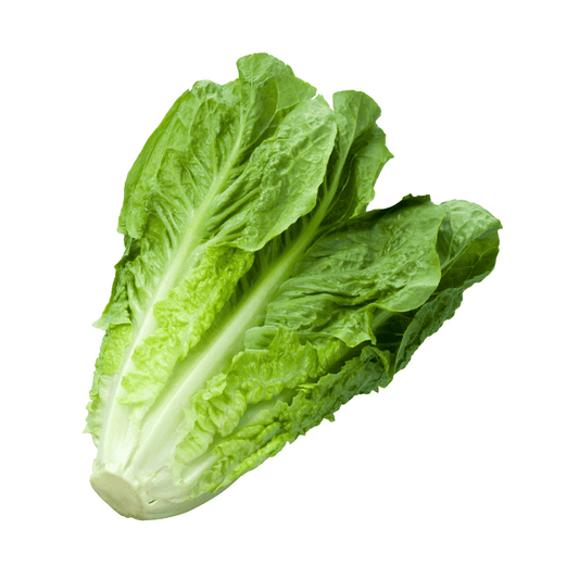 Romaine Lettuce 400g