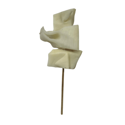 Bamboo Shoot 12 Skewers Raw