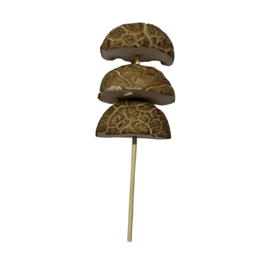 Shiitake Mushroom 10 Sticks Raw