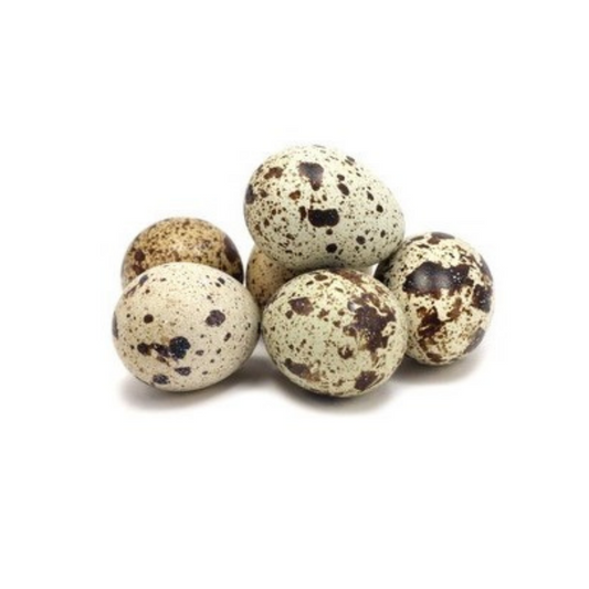Raw Quail Eggs / Telur Burung 15pc