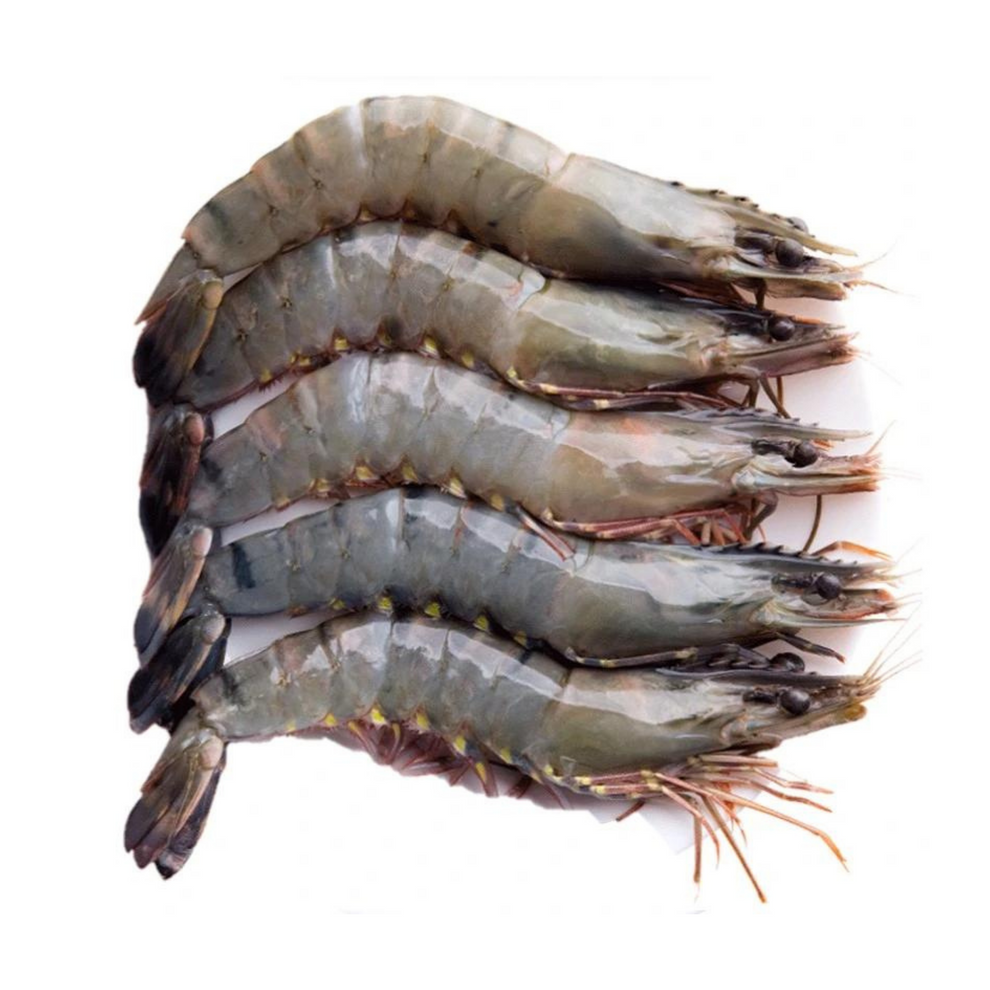 [Halal] Tiger Prawns 1kg Daily Cart