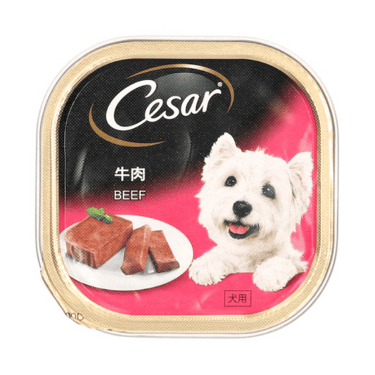 [Dog] Cesar Wet Dog Food - Beef 100g