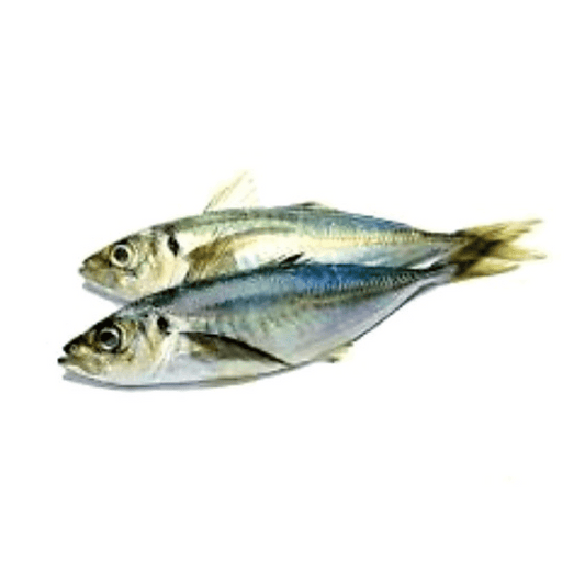 [Halal] Mackeral / Ikan Kembung 1kg