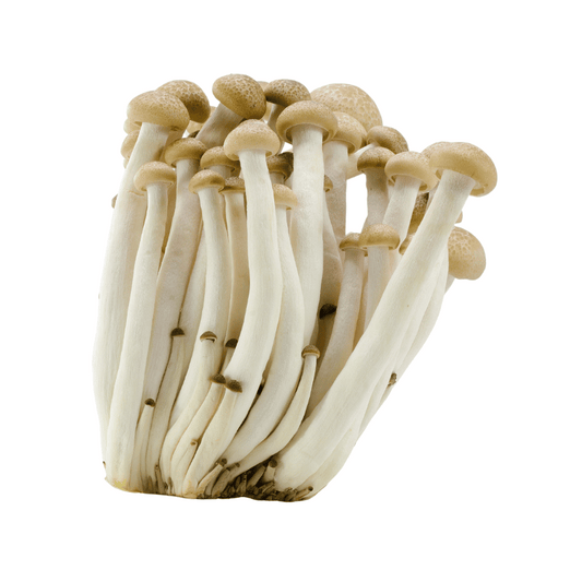Brown Shimeiji Mushroom 150g x 2pkt